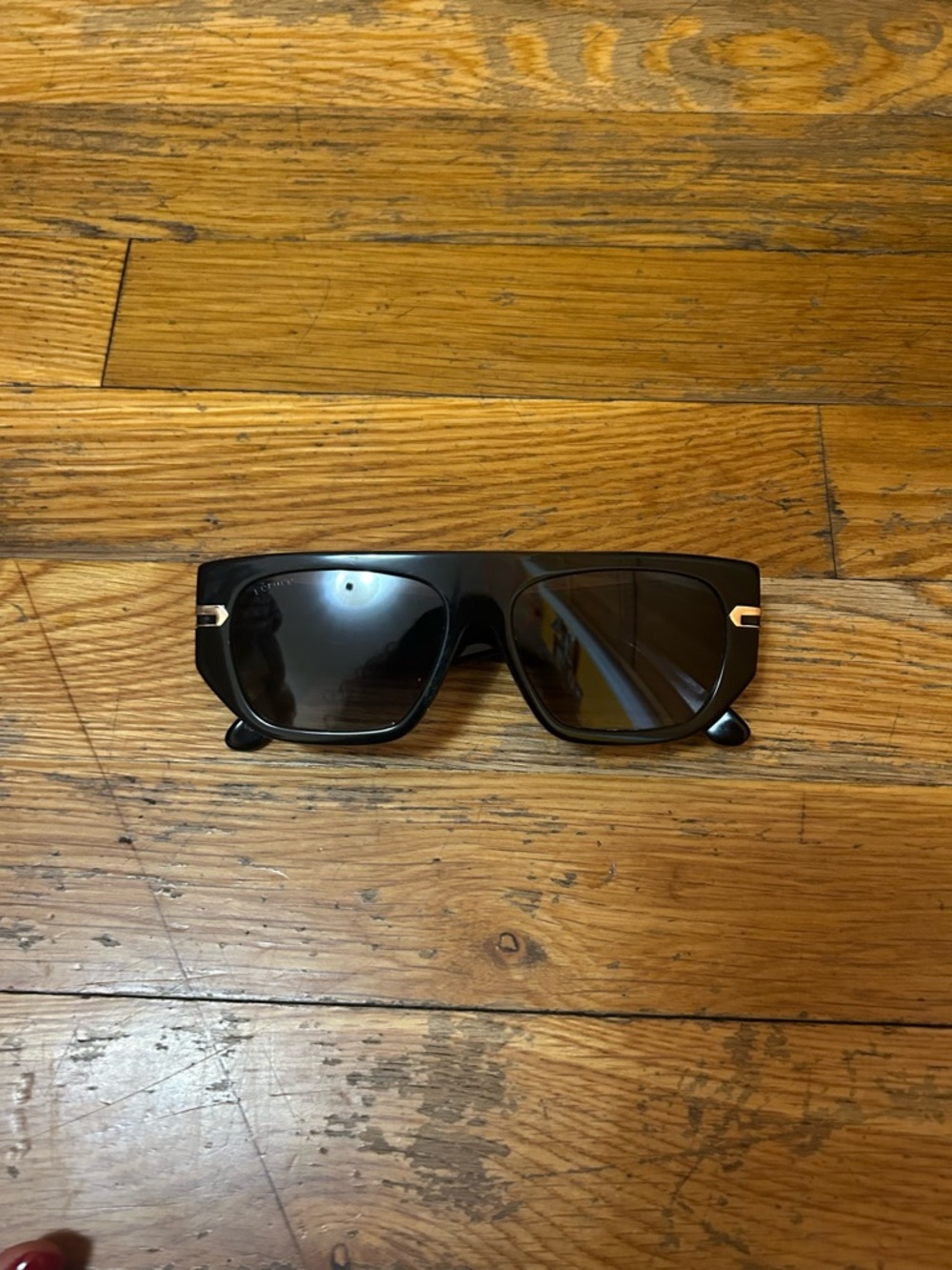 Beluga sunglasses